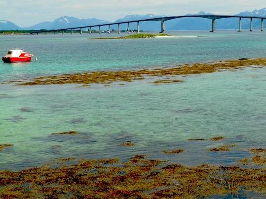 Las diferentes islas de Lofoten están unidas por túneles y puentes