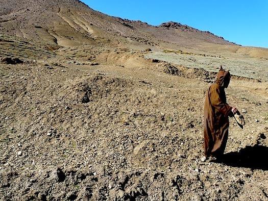 Cuando se llevan pocas horas de ruta, el paisaje cambia radicalmente. Estamos ya en pleno desierto
