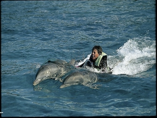 El gran atractivo de Riviera Maya para los más jóves -y los no tan jóvenes- es el baño con delfines (Xcaret)