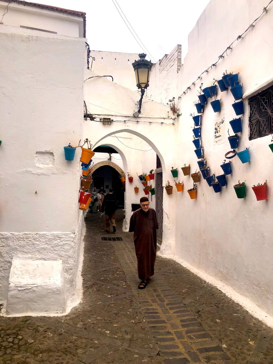 Callejón encalado con macetas de colores en la medina