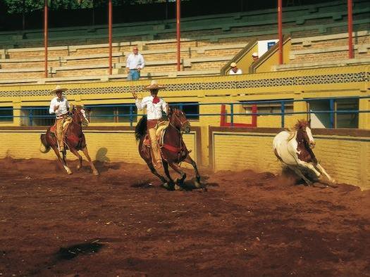 Jalisco, México: Sabor puro