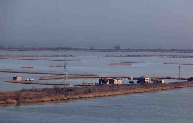 Laguna Barbamarco, Delta del Po