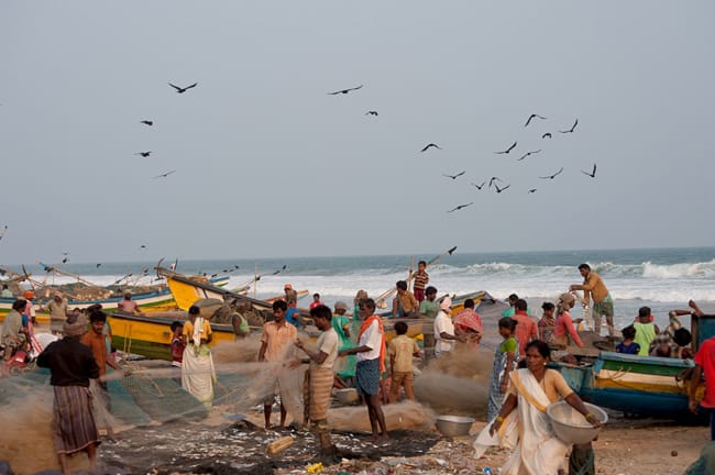 ORISSA, El alma de la India