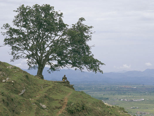 POKHARA, NEPAL: El valle más legendario
