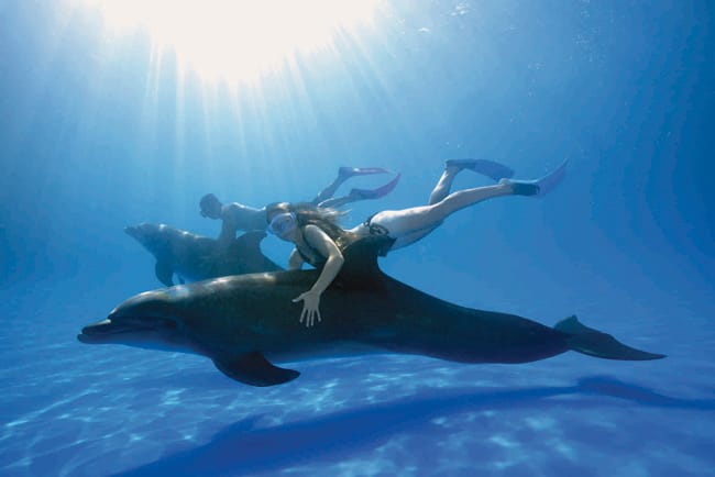 PUERTO VALLARTA (MÉXICO):  VACACIONES EN EL MAR (DEL SUR)