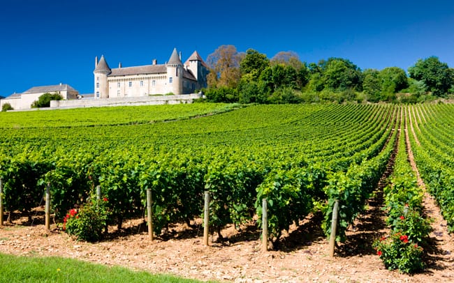 La ruta del BORGOÑA (FRANCIA), mucho más que vinos divinos