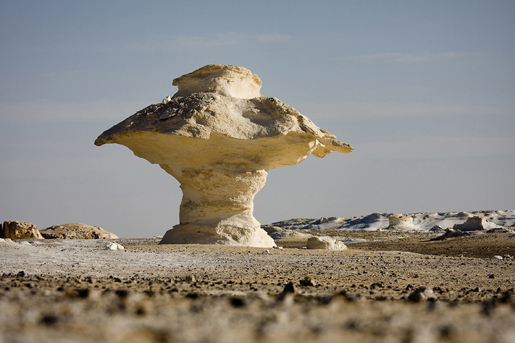 Desierto blanco