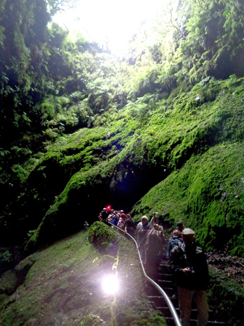 Algar do Carvao es una enorme caverna creada durante una erupción del volcán Terra Brava, hace unos tres mil años. Tras el descenso por la chimenea, fácil, se llega a un lago subterráneo.
