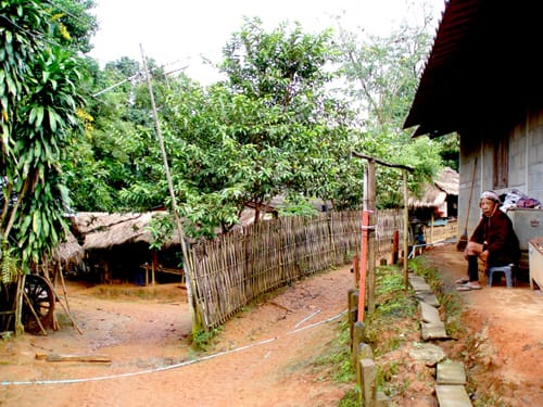 CON LOS AKHA, TAILANDIA. Caídos del techo del mundo