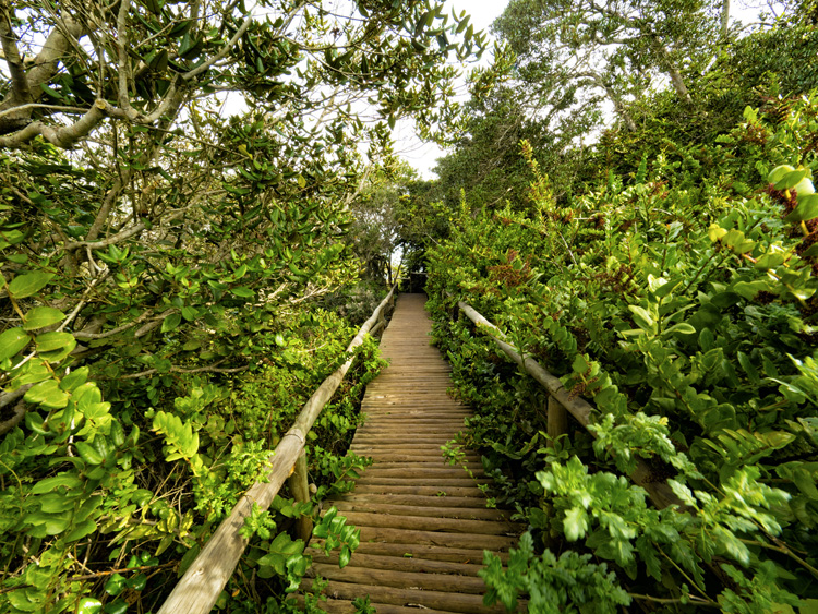 Parque Nacional Fray Jorge