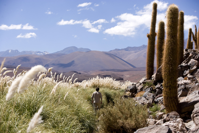 Desierto de Atacama (Chile)