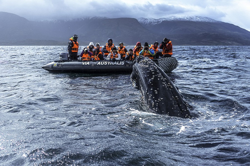 PATAGONIA: NUEVOS BARCOS, NUEVA RUTA