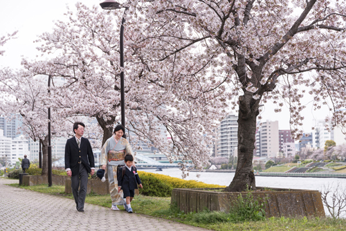 TOKIO: LA CONTEMPLACIÓN DE LOS CEREZOS EN FLOR