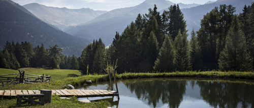 AUSTRIA: VACACIONES A LA TIROLESA