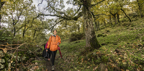 OTOÑO MÁGICO EN EL VALLE DEL AMBROZ