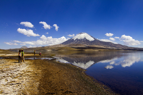EL CHILE MÁS ESPECTACULAR... DESDE NUESTRO SOFÁ